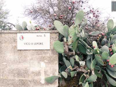 Da questo punto in poi strada Lepore si dirama in vicoli molto stretti puntellati alberi da frutta, fichi d�india...